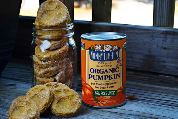 Pumpkin Peanut Butter Dog Treats