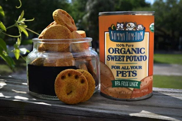 Nummy Tum Tum™ Pet Treats