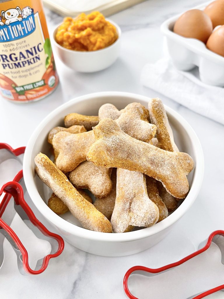 Pumpkin dog biscuits
