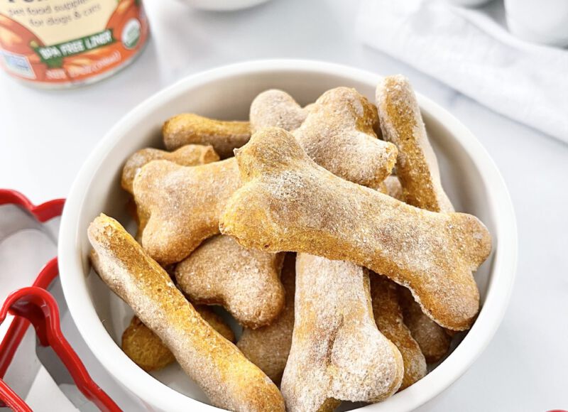 Pumpkin dog biscuits