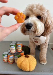 organic pet treat recipes