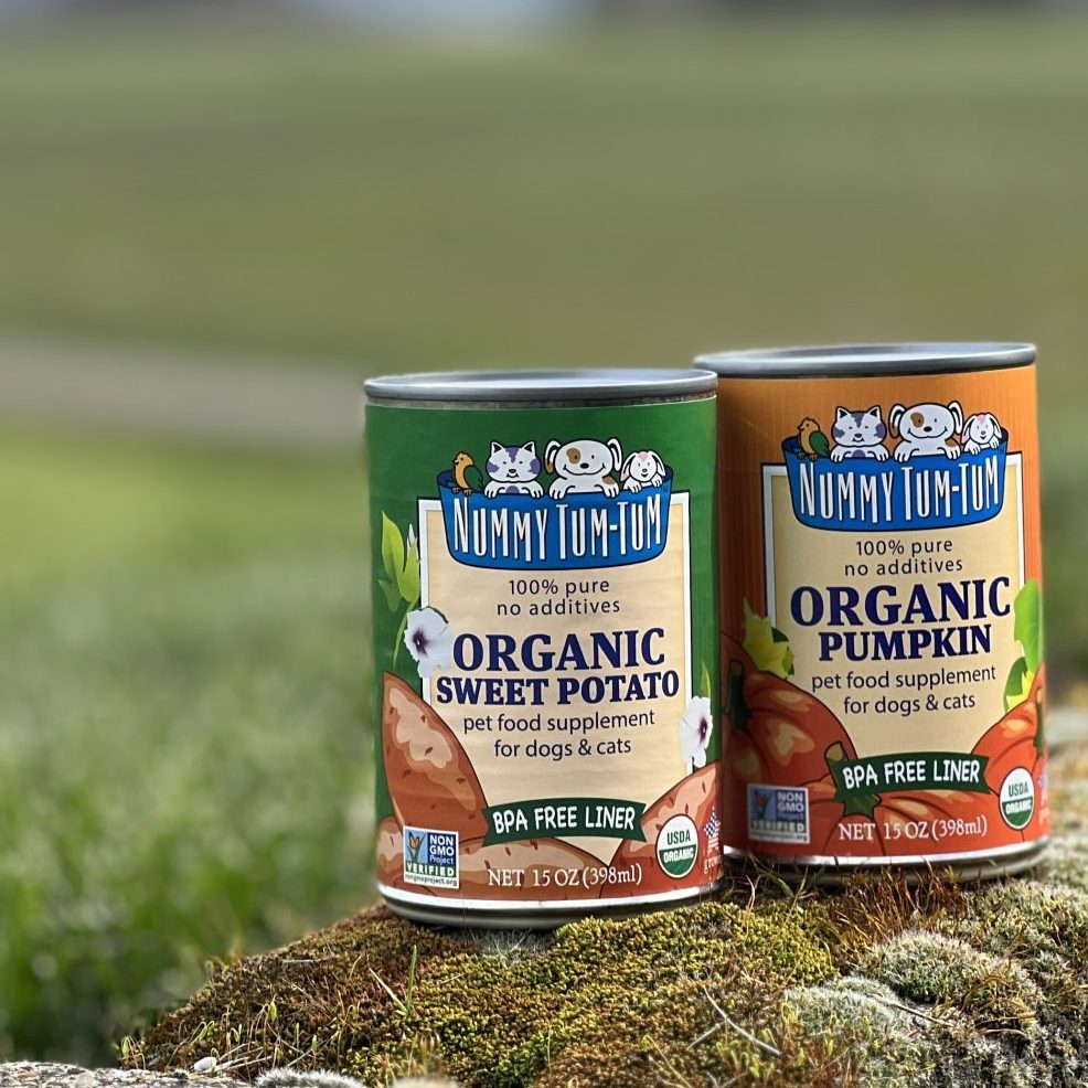 Nummy tum outlet tum organic pumpkin