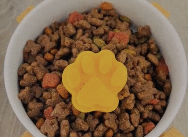 keeping your pet cool