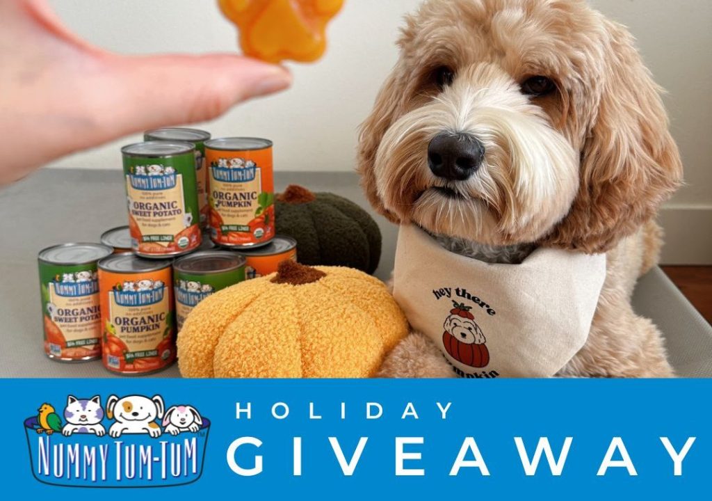 Nummy Tum-Tum 2023 Holiday Giveaway