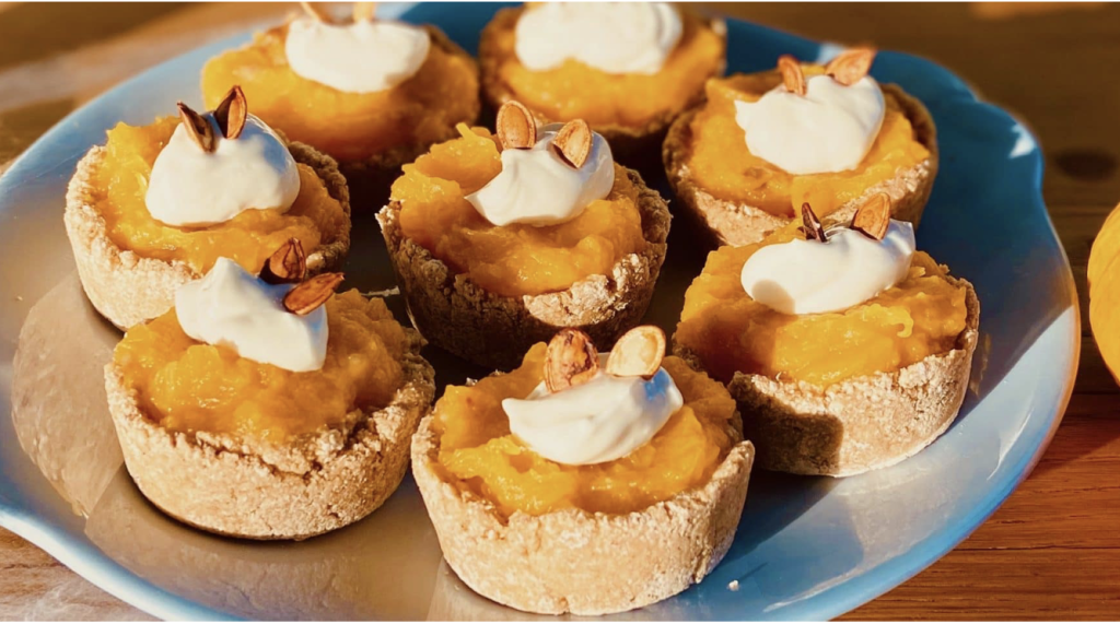 pet-safe pumpkin pie