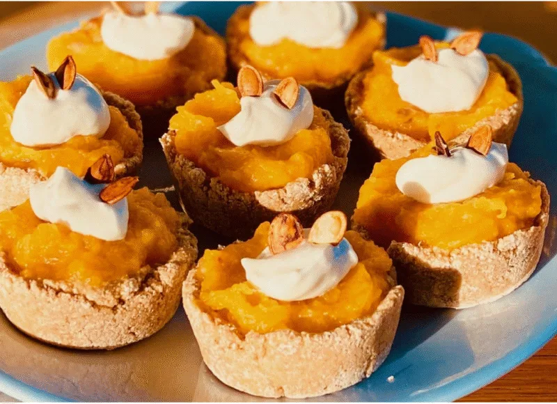 pet-safe pumpkin pie