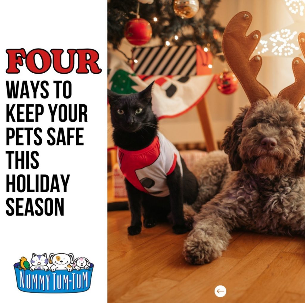 4 Ways to Keep Your Pet Safe at the Holidays