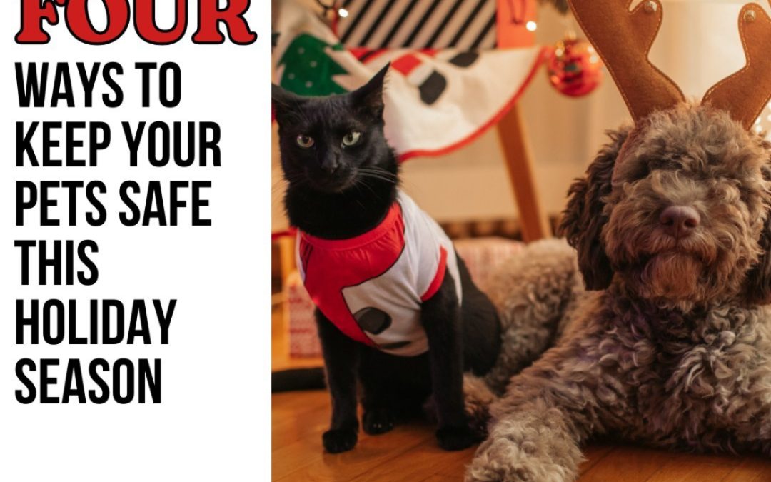 4 Ways to Keep Your Pet Safe at the Holidays