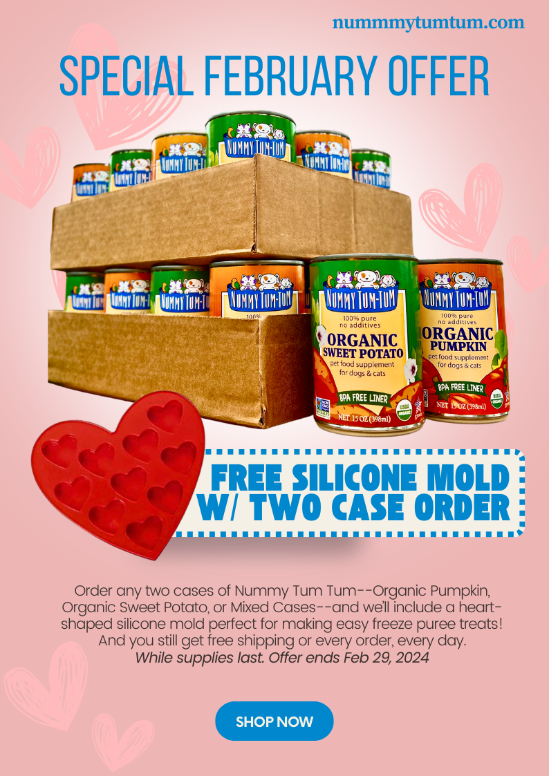 Purchase two cases of any Nummy Tum-Tum product in February and get a free silicone mold for making easy-freeze puree treats