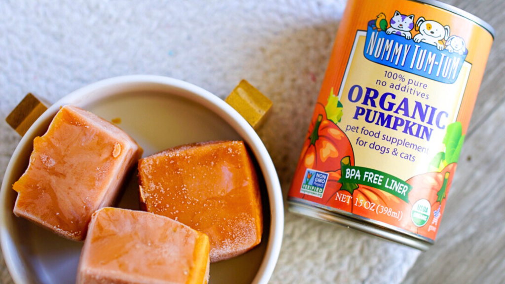 frozen pumpkin ice cubes for pets made with Nummy Tum-Tum 100% pure organic pumpkin