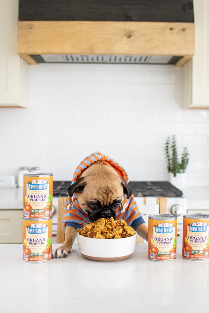 Nummy Tum-Tum Organic Pumpkin Dog-Friendly Granola 