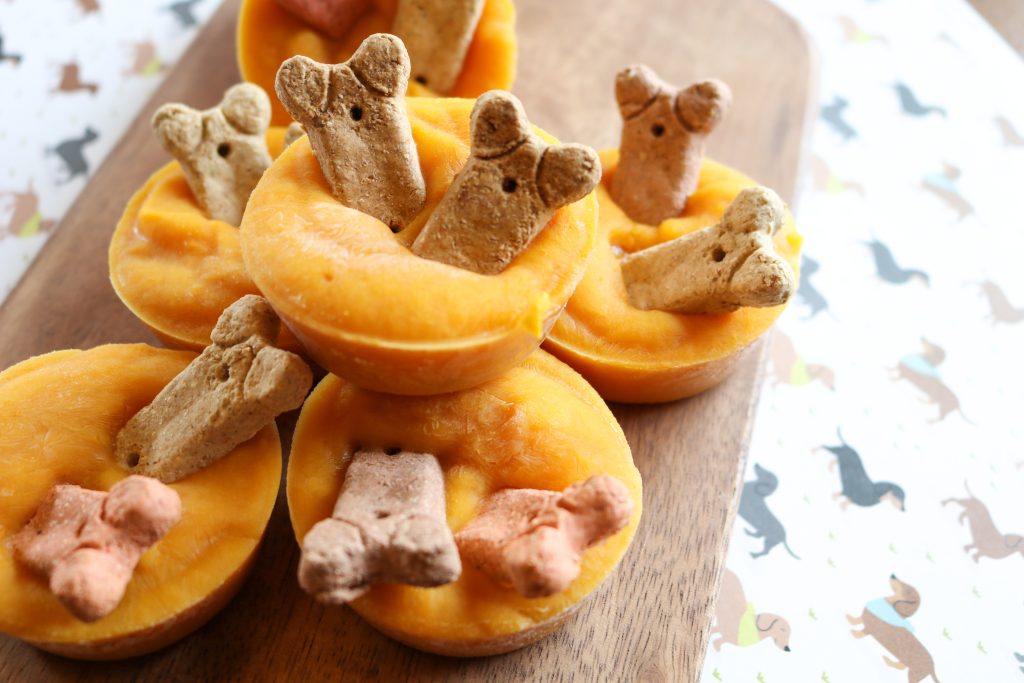 frozen pumpkin dog treats with bones added