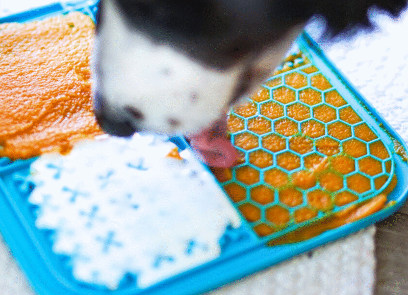dog lickmat recipe with pumpkin