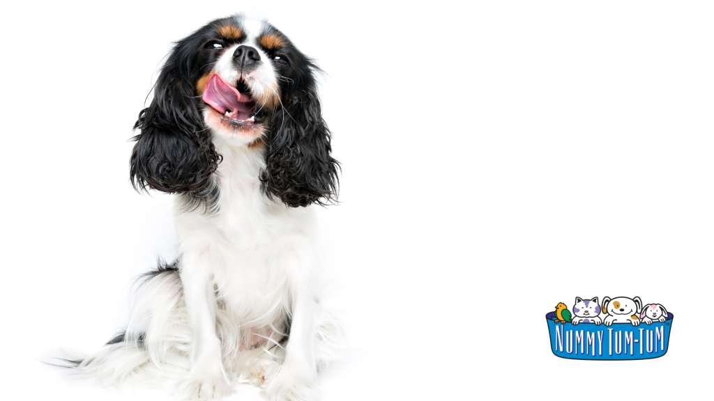 dog licking mouth from tasty treat