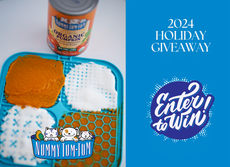 Nummy Tum-Tum holiday giveaways 2024